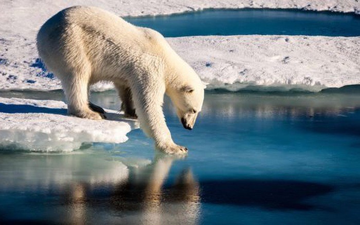 Trái đất nóng lên - Mối nguy hiểm quá lớn ảnh 1