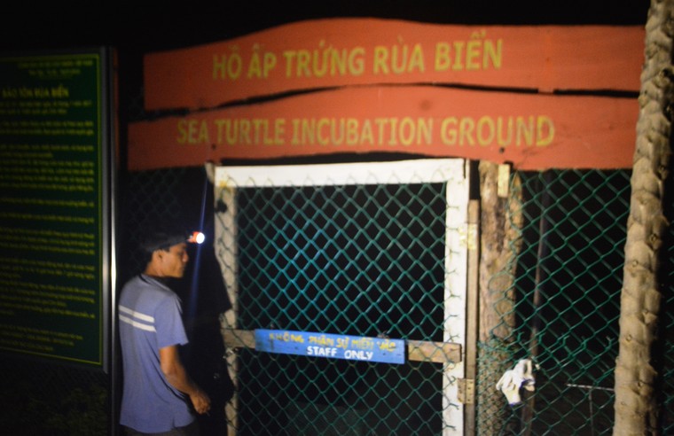 Người và rùa song hành ​ ảnh 3