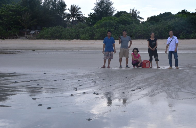 Người và rùa song hành ​ ảnh 1