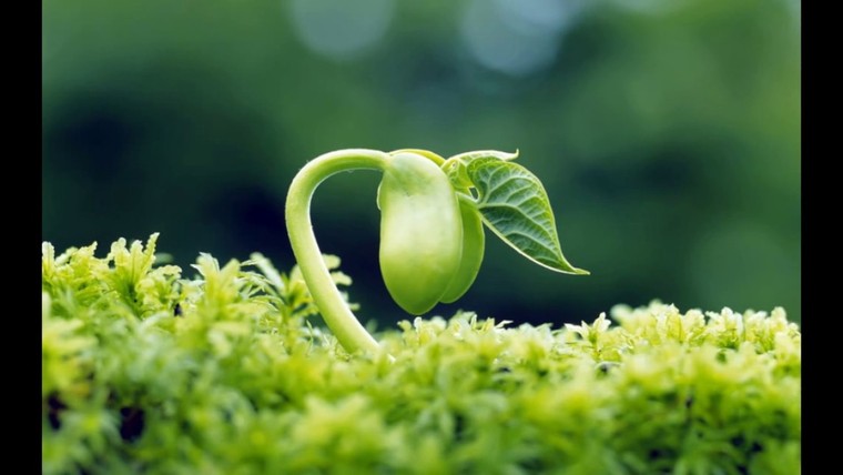 Trưởng thành cùng nhau! ảnh 1