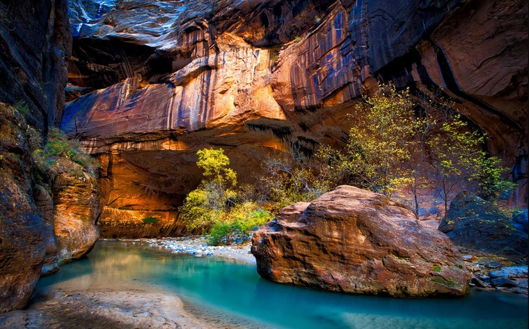 'Vườn địa đàng' trên đất Mỹ ảnh 1