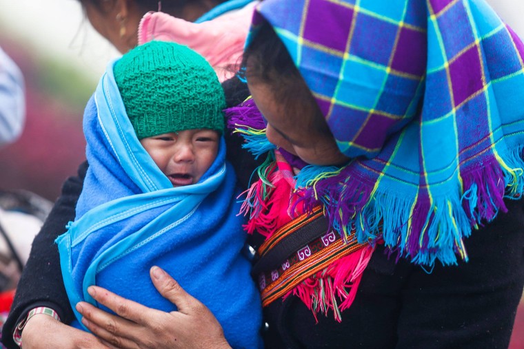 Mưu sinh trong giá rét ở Sa Pa ảnh 5