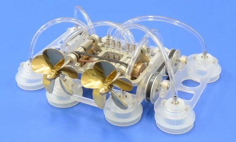 Bước tiến mới của nghiên cứu động vật biển ảnh 1