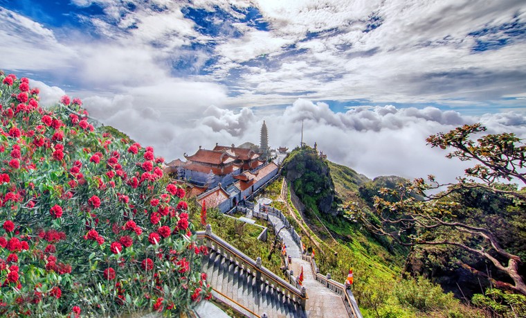 Họ đã trở thành những 'đại sứ du lịch' như thế ảnh 2