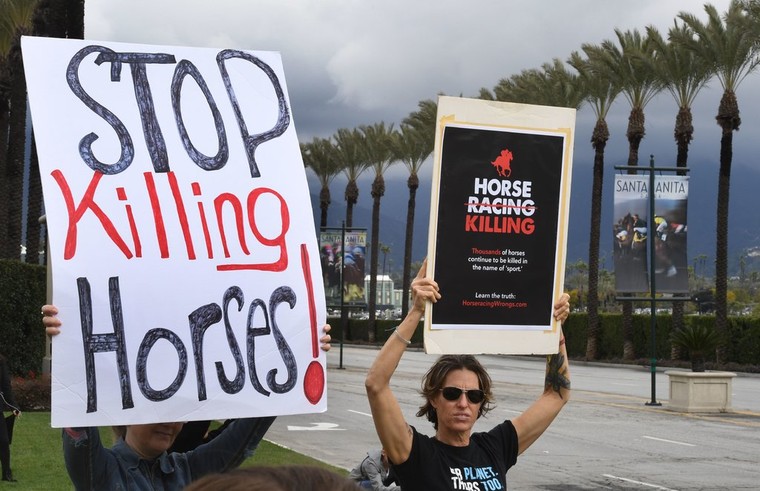 Ngành công nghiệp đua ngựa của Mỹ đối mặt thách thức lớn ảnh 1