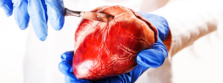 10 tiến bộ đáng kinh ngạc của y học trong thế kỷ 21 ảnh 3