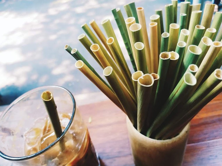 14 cách bạn có thể làm để giảm rác thải nhựa ảnh 1