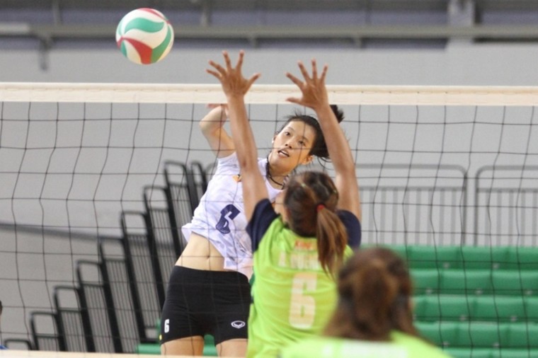 'Khủng long' bóng chuyền 1m93 Thanh Thúy Cuộc chinh phục 'đỉnh' châu lục kỳ lạ ảnh 3