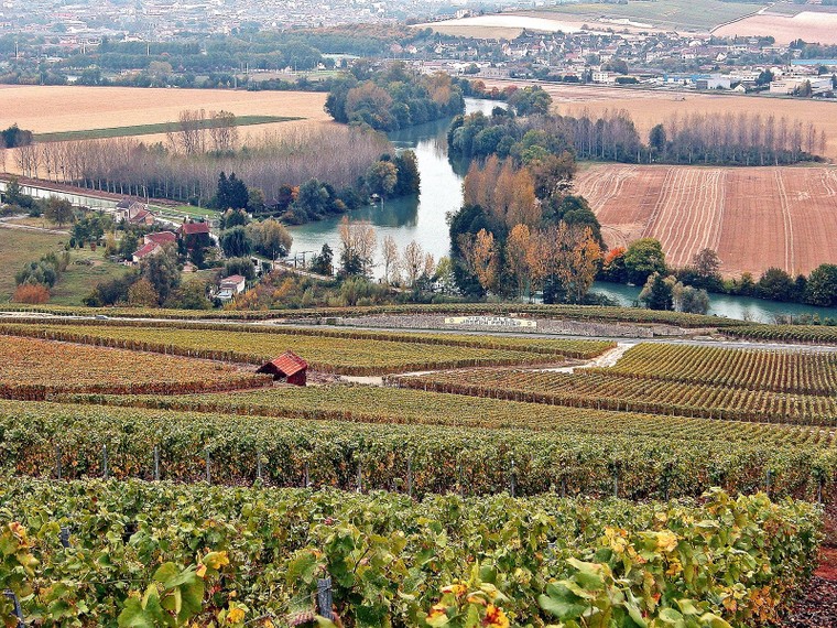 Sườn đồi, Nhà và Hầm rượu Champagne ảnh 2