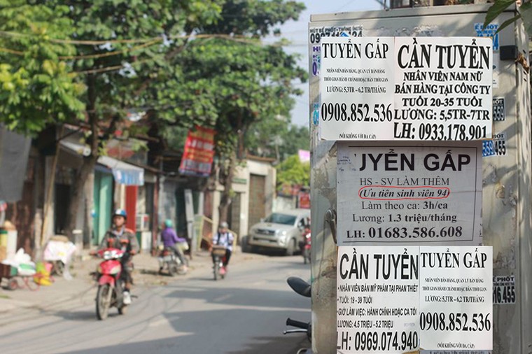 Việc nhiều, lao động kén cá chọn canh ảnh 4