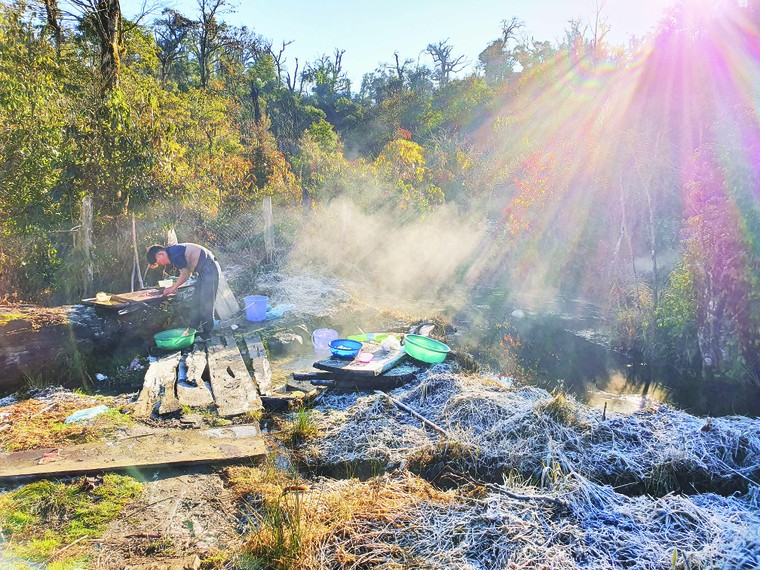 Hành trình về với rừng ảnh 1