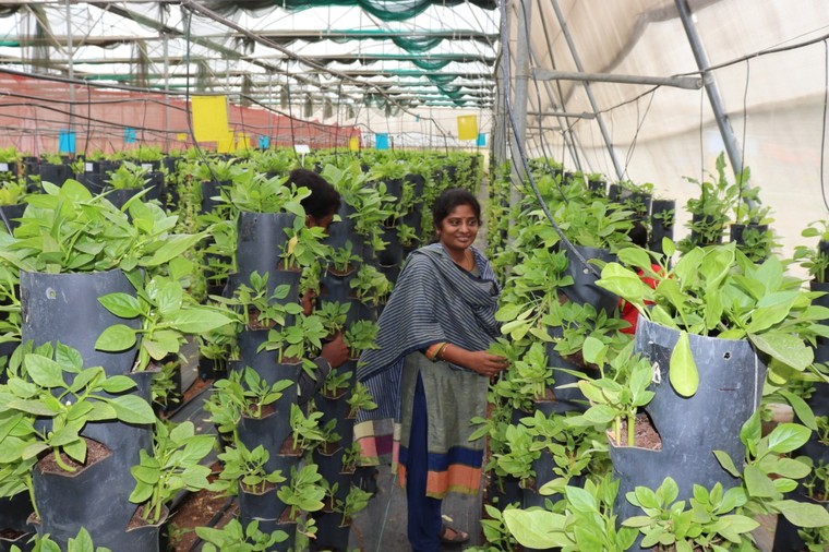 Kết quả của nông nghiệp sạch: Thay đổi chất lượng không khí ảnh 1