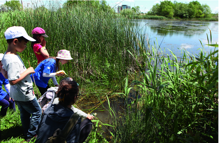 Báo cáo về vai trò của thiên nhiên và nước tại phiên họp Đại hội đồng Liên hợp quốc ảnh 1