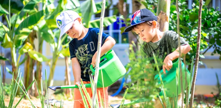 Khôi phục các hoạt động Trường học xanh ứng phó biến đổi khí hậu ảnh 2