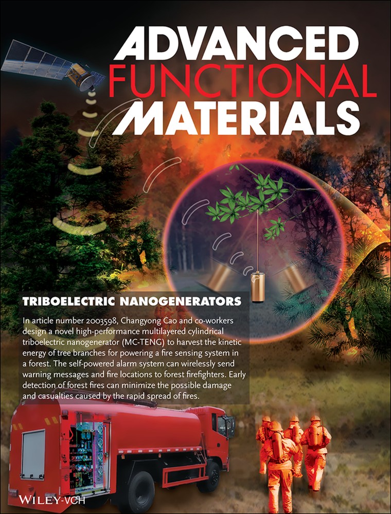 Dùng cây cối để cảnh báo cháy rừng ảnh 1