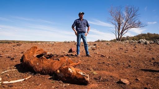 2020 và sự hình thành của những 'trạng thái bình thường mới' ảnh 1