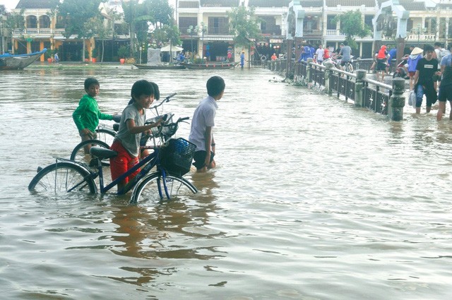Dịch vụ 'ngắm lụt' Hội An bằng ghe đắt khách mùa lũ ảnh 2