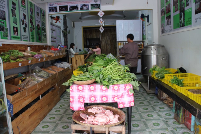 Cô gái Nhật đến Huế bán rau sạch ảnh 1