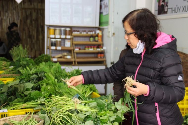 Cô gái Nhật đến Huế bán rau sạch ảnh 2