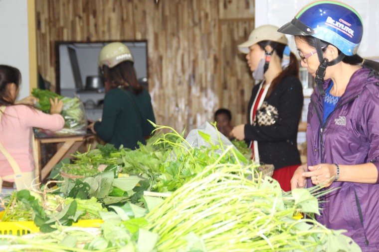 Cô gái Nhật đến Huế bán rau sạch ảnh 3