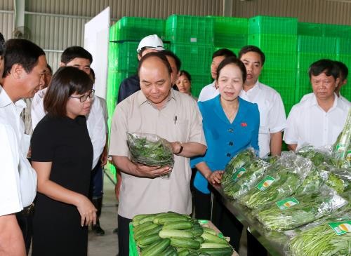 VinEco và văn hóa làm nông nghiệp an toàn ảnh 2