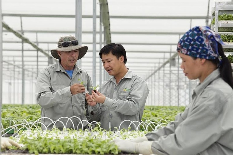VinEco và văn hóa làm nông nghiệp an toàn ảnh 3