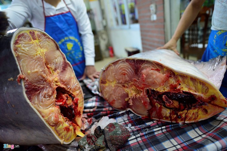 Cá tra dầu 'bay' 1.500km về Thủ đô, giá 1 triệu đồng mỗi kilogam ảnh 6