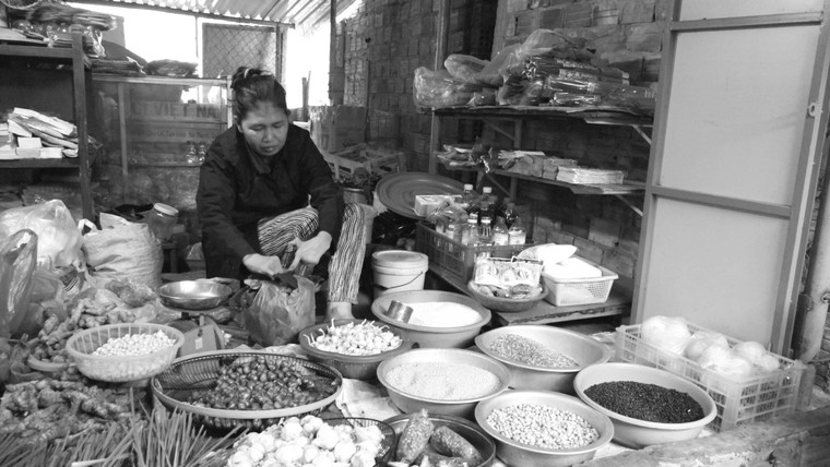 Tình yêu đơm hoa nhờ tiếng kêu “má“ ảnh 1