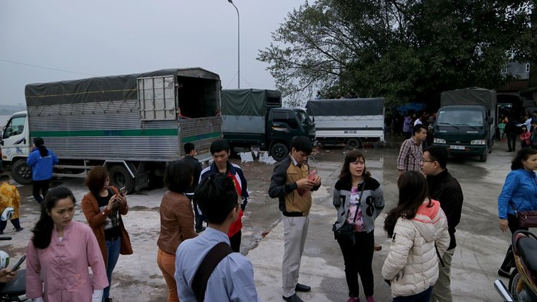 Nghìn người dự lễ phóng sinh gần 10 tấn cá xuống sông Hồng ảnh 3