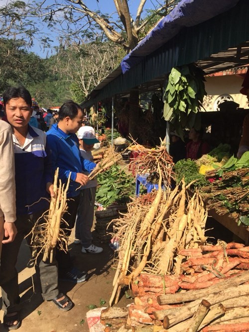 Lộc rừng được bày bán ở các đền, phủ ảnh 1