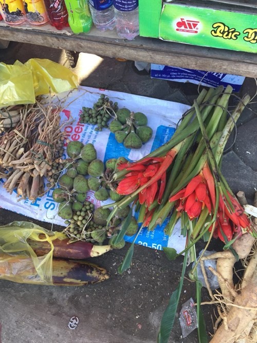 Lộc rừng được bày bán ở các đền, phủ ảnh 2