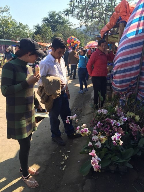 Lộc rừng được bày bán ở các đền, phủ ảnh 3