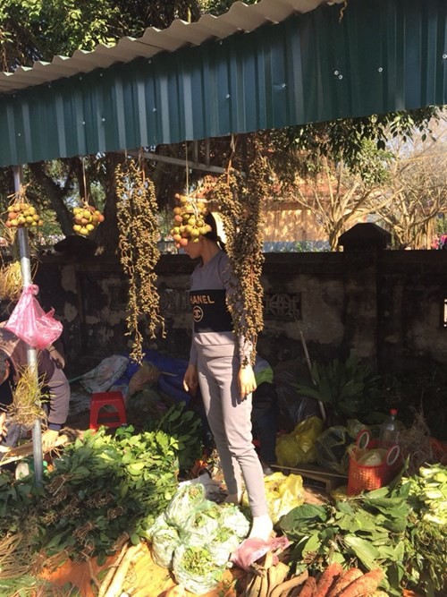 Lộc rừng được bày bán ở các đền, phủ ảnh 4