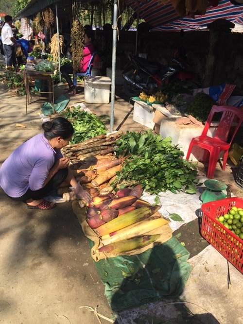 Lộc rừng được bày bán ở các đền, phủ ảnh 5