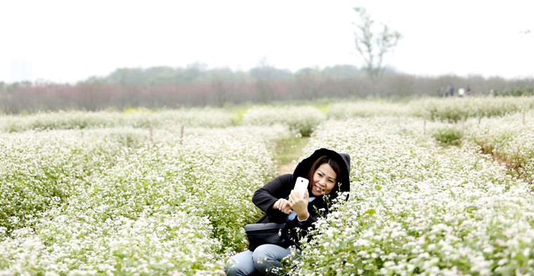 Đồi hoa tam giác mạch giữa lòng Hà Nội “đốn tim’ du khách ảnh 3