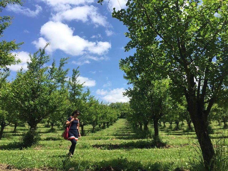 Nhân Lễ Phật đản kể chuyện Làng Mai... ảnh 3