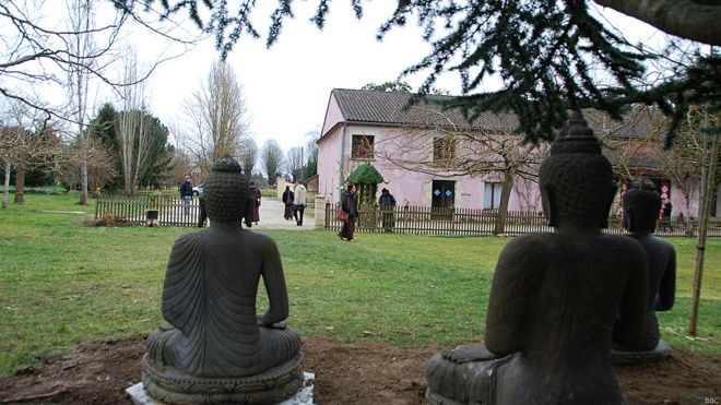 Nhân Lễ Phật đản kể chuyện Làng Mai... ảnh 1