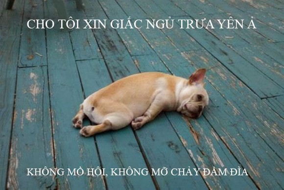 Cười chảy nước mắt với ảnh chế ngày nóng kỷ lục ảnh 8