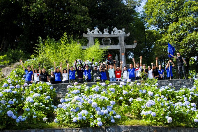 Vườn hoa cẩm tú cầu cách Hà Nội hơn 200km ảnh 5