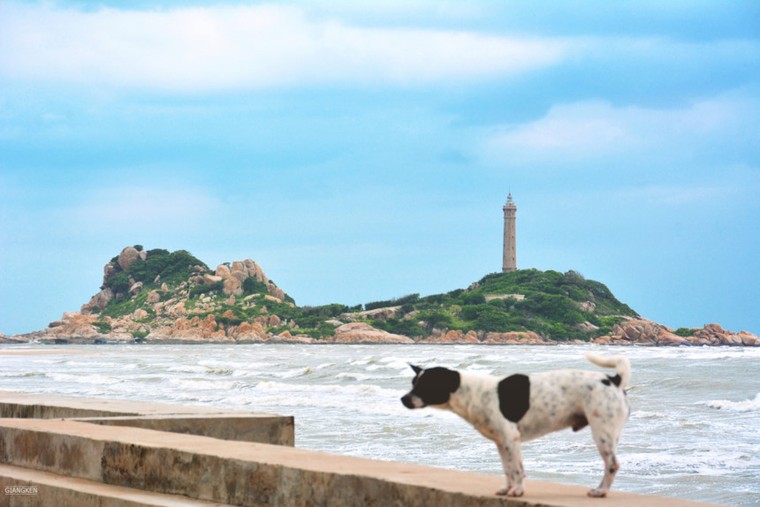 Mùa hè rực lửa trên cung đường biển đẹp nhất Việt Nam ảnh 2