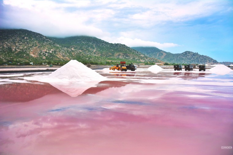 Mùa hè rực lửa trên cung đường biển đẹp nhất Việt Nam ảnh 5