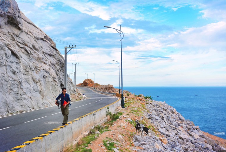 Mùa hè rực lửa trên cung đường biển đẹp nhất Việt Nam ảnh 6