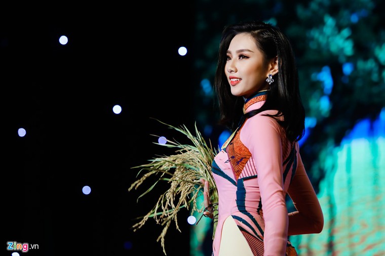 Hoa khôi Nam Bộ 2017 gọi tên Nguyễn Thị Hải Yến ảnh 3