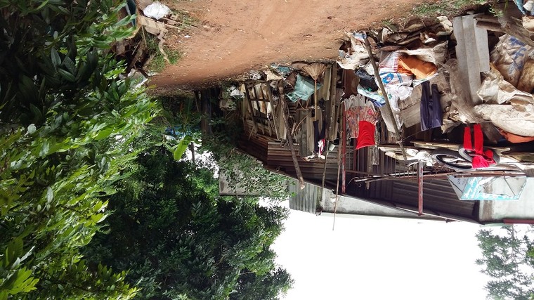 Túp lều của cô Quý ảnh 4