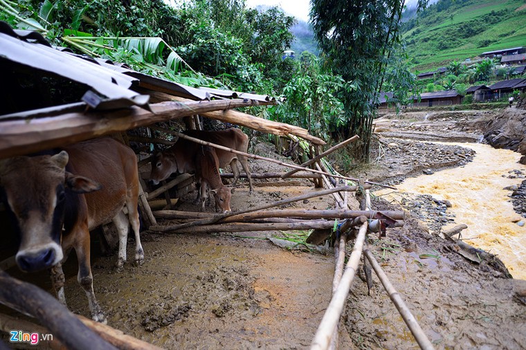 Cảnh tiêu điều ở rốn lũ Mù Cang Chải ảnh 4