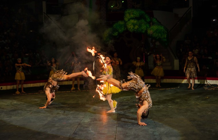 Cháy vé đêm khai mạc Xiếc TP. HCM ở Hà Nội ảnh 4