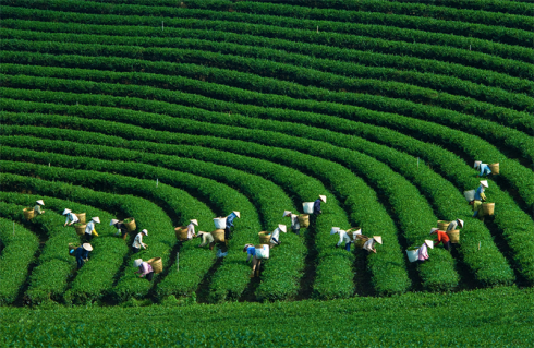 Những điểm du lịch đẹp nhất mùa Thu-Đông Việt Nam ảnh 3