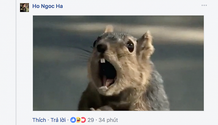 Kim Lý xác nhận mối quan hệ với Hà Hồ bằng bức ảnh công khai Hà Hồ ôm mẹ ruột ảnh 2