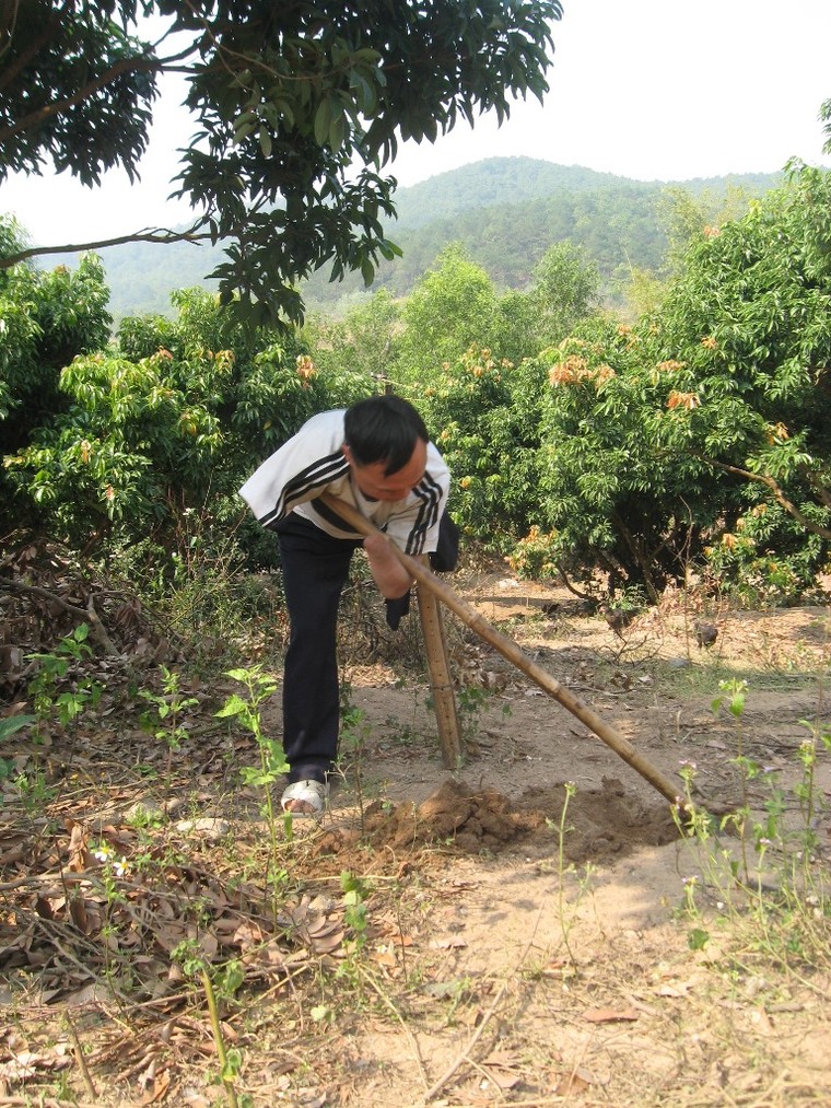 “Chỉ cần có đất là không chết đói” ảnh 1