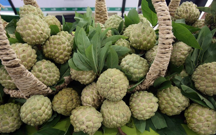 Na “khủng” Lạng Sơn giá đắt vẫn hút khách ảnh 3